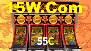 Premium Interface 55C