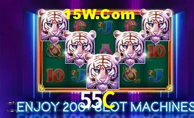 Login Seguro 55C